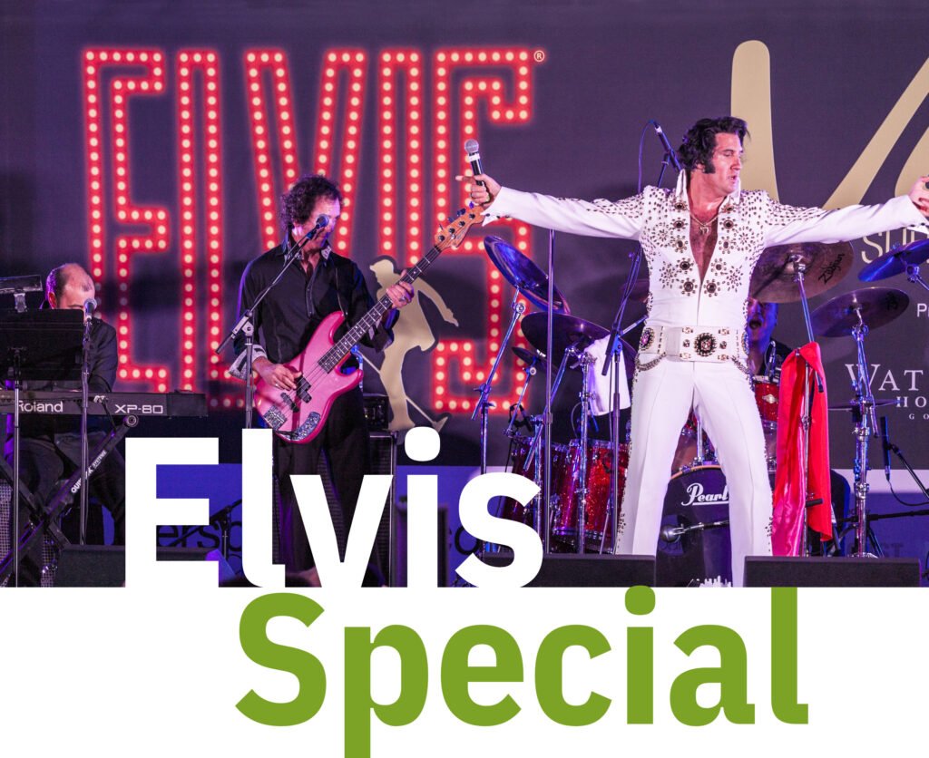 Elvis Special Web (2560 × 2091px)