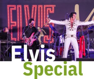 Elvis Special Web